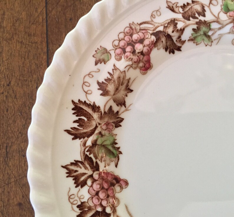 Vintage Johnson Brothers Plates Set of 6 Empire Grape Etsy