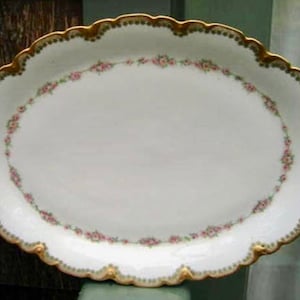 Half Price Haviland Sale, Antique Haviland Limoges Platter, Schleiger 856, Roses, Antique Collectible, Limoges China, Wedding Gift, France