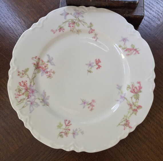 Antique Haviland Limoges Plate Schleiger 36 Limoges China Etsy