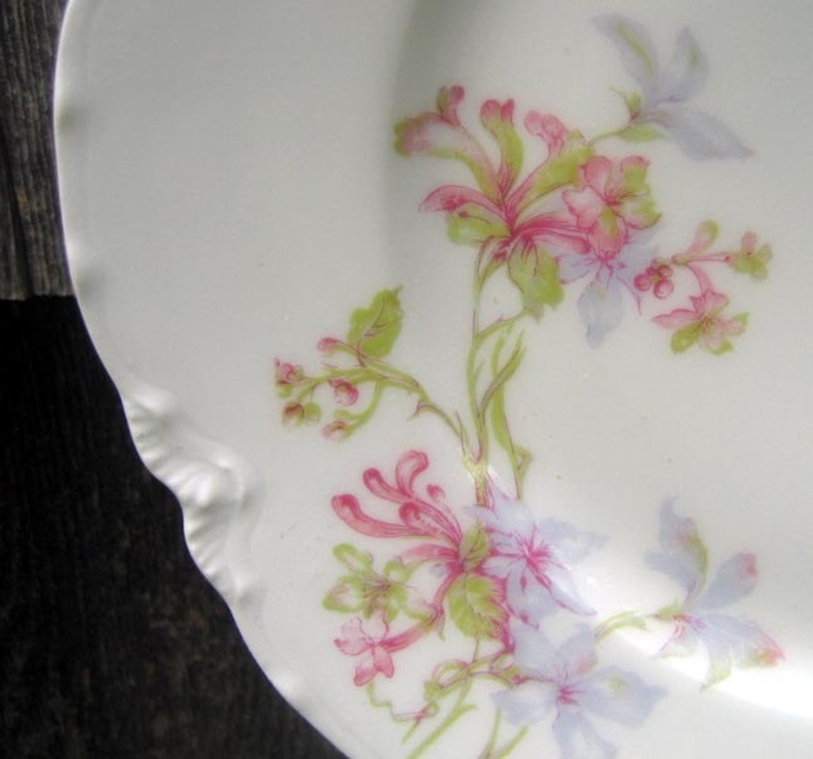 Antique Haviland Limoges Plate Schleiger 36 Limoges China Etsy