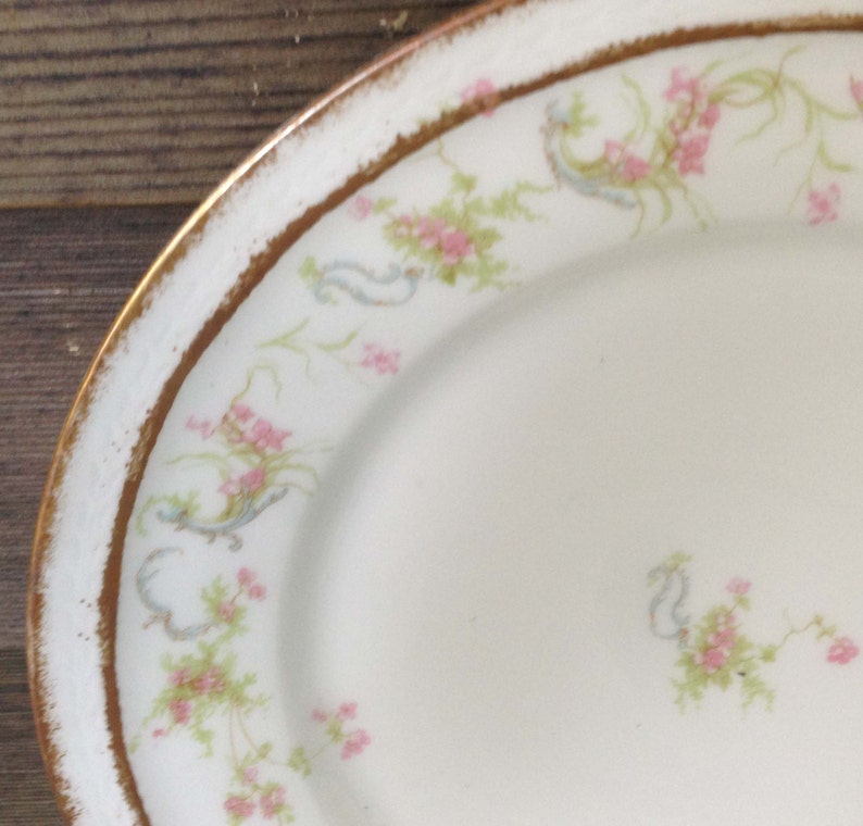 Schleiger 57 R Antique Haviland Limoges Dinner Plate French Country Antique Collectible Shabby Chic Princess Half Price Haviland Sale