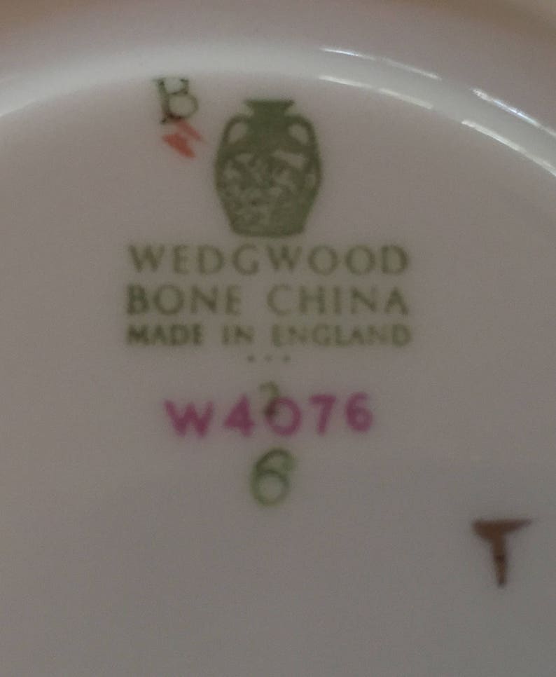 Devon Sprays Pattern Vintage Wedgwood Handled Soup Cup and Saucer English Country Decor England Cottage Style Floral R Vintage Gift