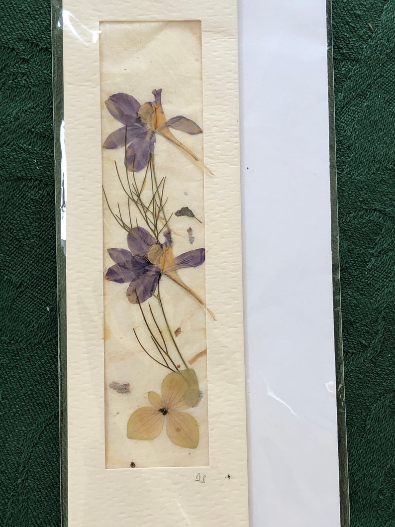 Vintage Pressed Flower Note Cards Set of 3 From Ireland Not Etsy