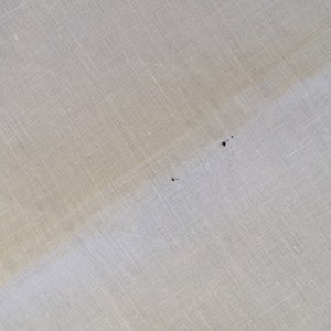 May include: A close-up of a white fabric surface with a subtle texture. There are two small dark spots on the fabric.