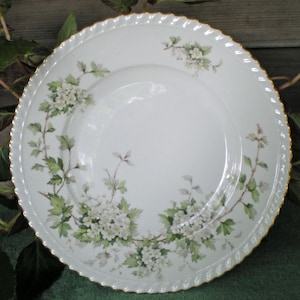 REDUCED Vintage Franconia Dinner Plate, Hawthorn Pattern, Germany, Vintage China, Wedding Gift, Anniversary Present, Garden Party, Gift, R