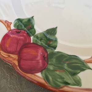 Pu&ograve; includere: Un piatto in ceramica bianca con un bordo marrone e un disegno dipinto di mele rosse e foglie verdi.