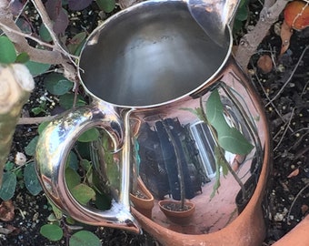 May include: A silver pitcher with a handle and a reflective surface. The pitcher is sitting in a pot with green plants.
