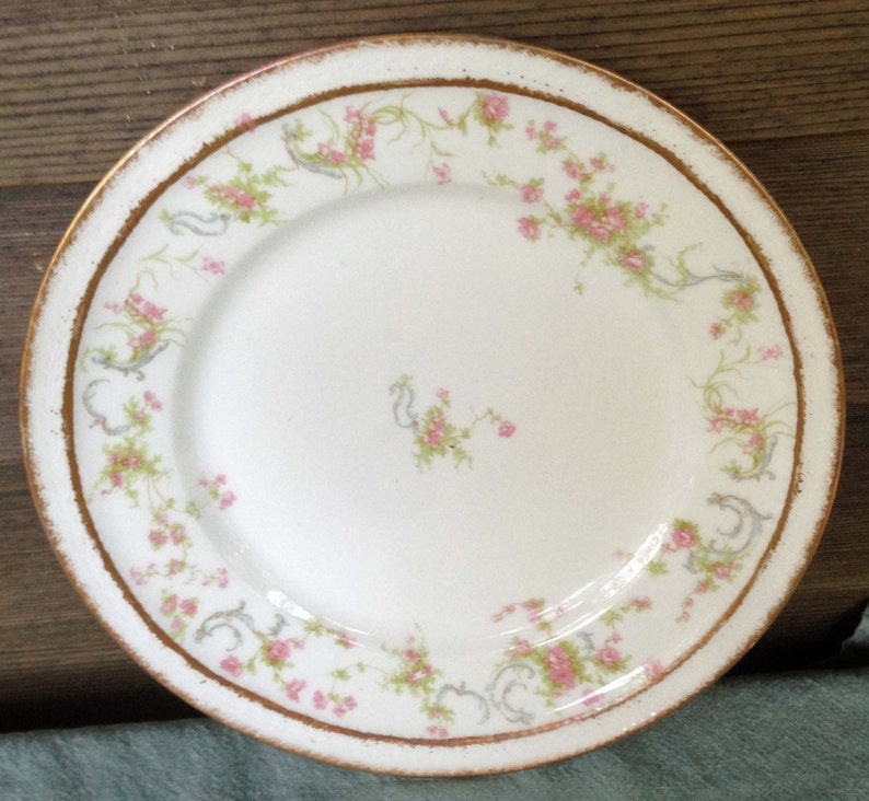 Schleiger 57 R Antique Haviland Limoges Dinner Plate French Country Antique Collectible Shabby Chic Princess Half Price Haviland Sale