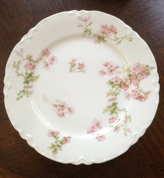 Antique *haviland Limoges Plate, Schleiger 58, Wedding Gift
