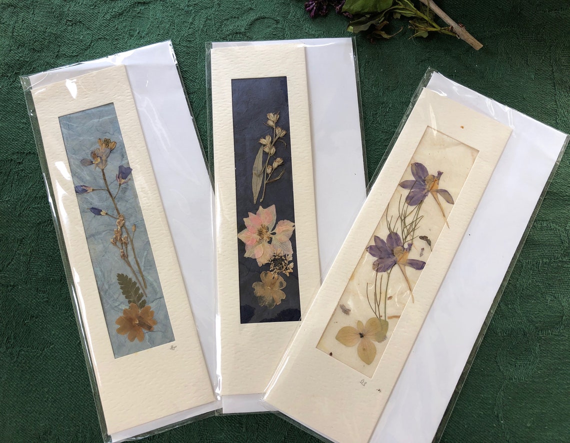 Vintage Pressed Flower Note Cards Set of 3 From Ireland Not Etsy