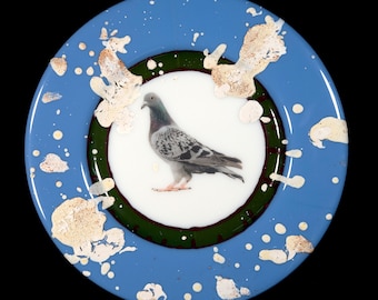 Commemorative Pigeon Plate V1