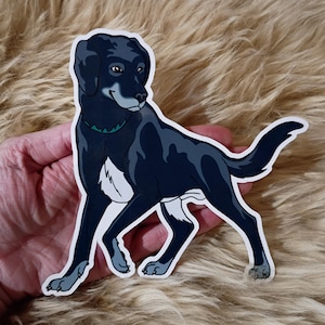Può includere: Un adesivo con l'illustrazione di un cane Labrador Retriever nero e grigio. Il cane ha una macchia bianca sul petto e un collare verde. L'adesivo è su sfondo bianco.
