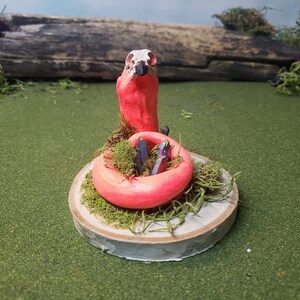 Skulls, Animal Skulls, Diorama, Raven Skull, Miniatures, Oddities