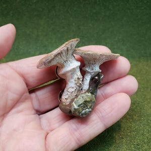 Mushrooms with Snail Handmade Pin