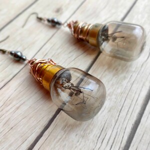 May include: A pair of earrings made from small light bulbs with copper wire wrapped around the base. The bulbs are clear and contain a small insect inside.