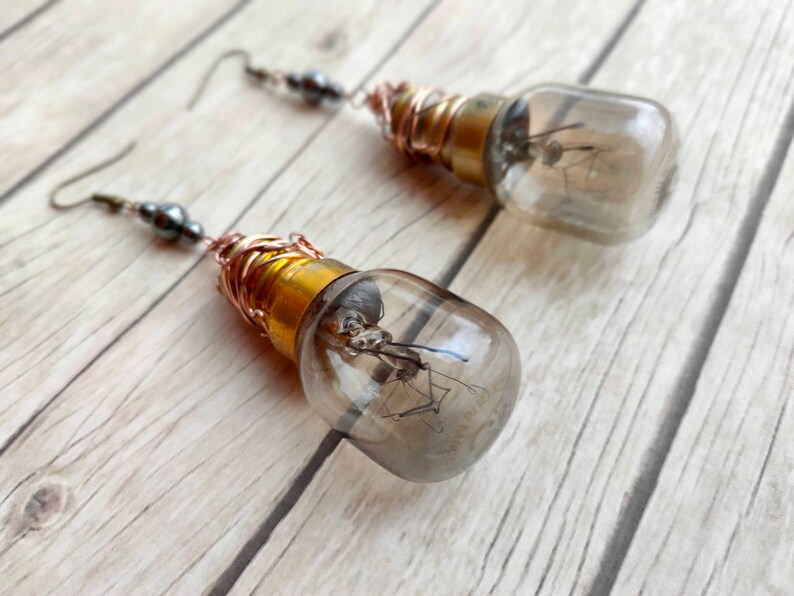 May include: A pair of earrings made from small light bulbs with copper wire wrapped around the base. The bulbs are clear and contain a small insect inside.