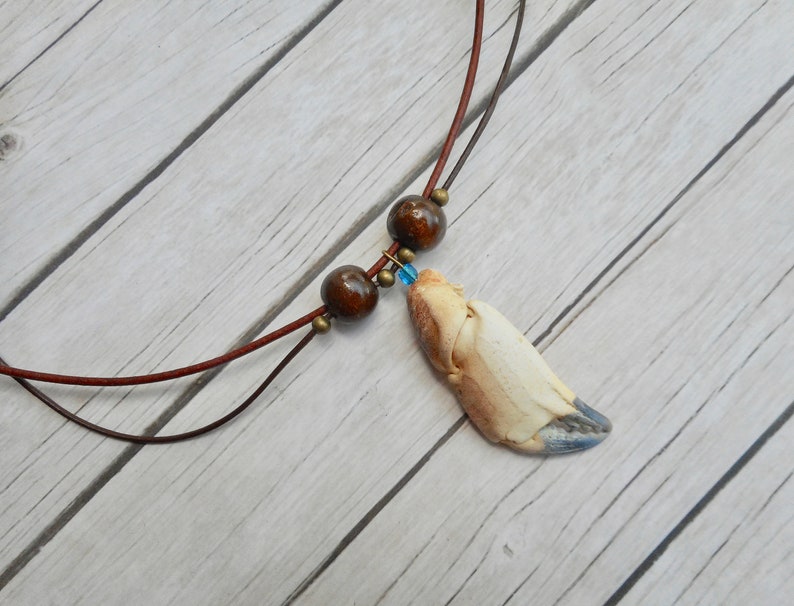 Real crab claw pendant necklace for women men fashion brown Etsy