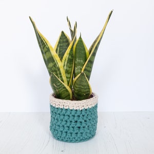 Small plant pot cover in green & cream. Made from recycled cotton. Perfect present for a plant lover!