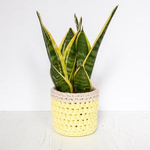 Small plant pot cover in yellow & cream. Made from recycled cotton. Perfect present for a plant lover!