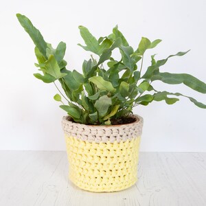 Medium plant pot cover in yellow & cream. Made from recycled cotton. Perfect present for a plant lover!