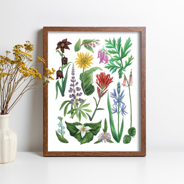 Wildflowers of Vancouver Island, British Columbia. (8.5x11") Botanical Illustration Print by Danielle Brufatto. Made in BC, Canada