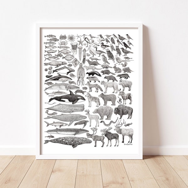 100 Species of BC. West Coast North America Canadian Land & Sea Animal Chart (8.5x11") Poster. Pen Illustration Print by Danielle Brufatto