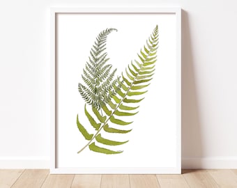 The Lady & The Sword - Original Illustration Botanical Fern Print (8.5x11") by Danielle Brufatto - Made in British Columbia, Canada