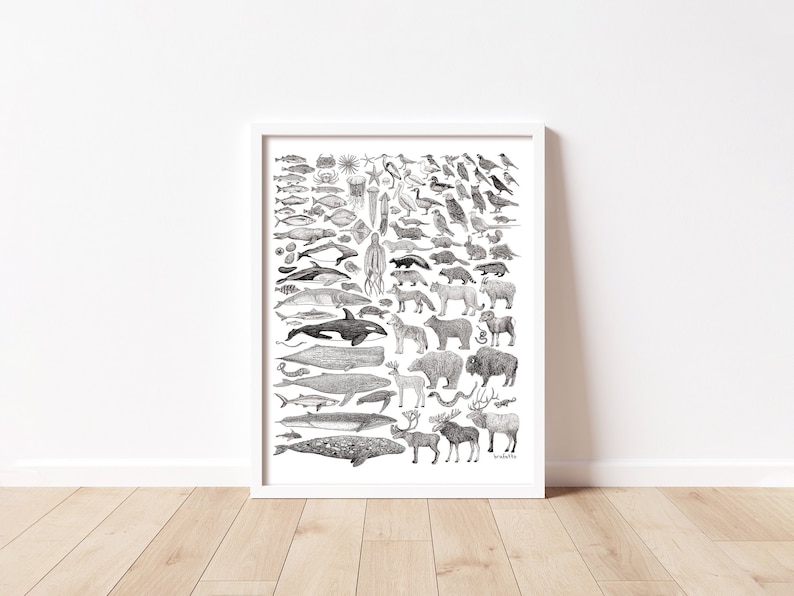 100 Species of BC. West Coast North America Canadian Land & Sea Animal Chart 8.5x11 Poster. Pen Illustration Print by Danielle Brufatto image 1