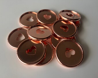 Plastic Planner Discs - Medium - Rose Gold - Set of 11