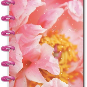 Peut inclure: Un agenda à couverture transparente rose avec des anneaux roses et un motif floral rose et or. L'agenda porte les années 2019 et 2020 imprimées sur la couverture.