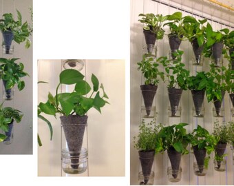 Made to order, Suspended vertical garden with glass water reservoir; visible water level. (1 column made of 3 plant containers)
