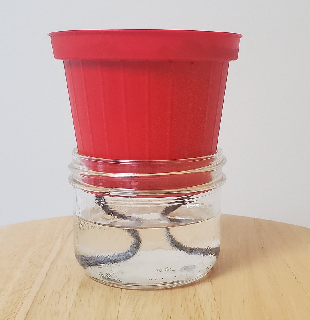 Felt Wick for Plant Pots, DIY Selfwatering Plant, Made of Capillary