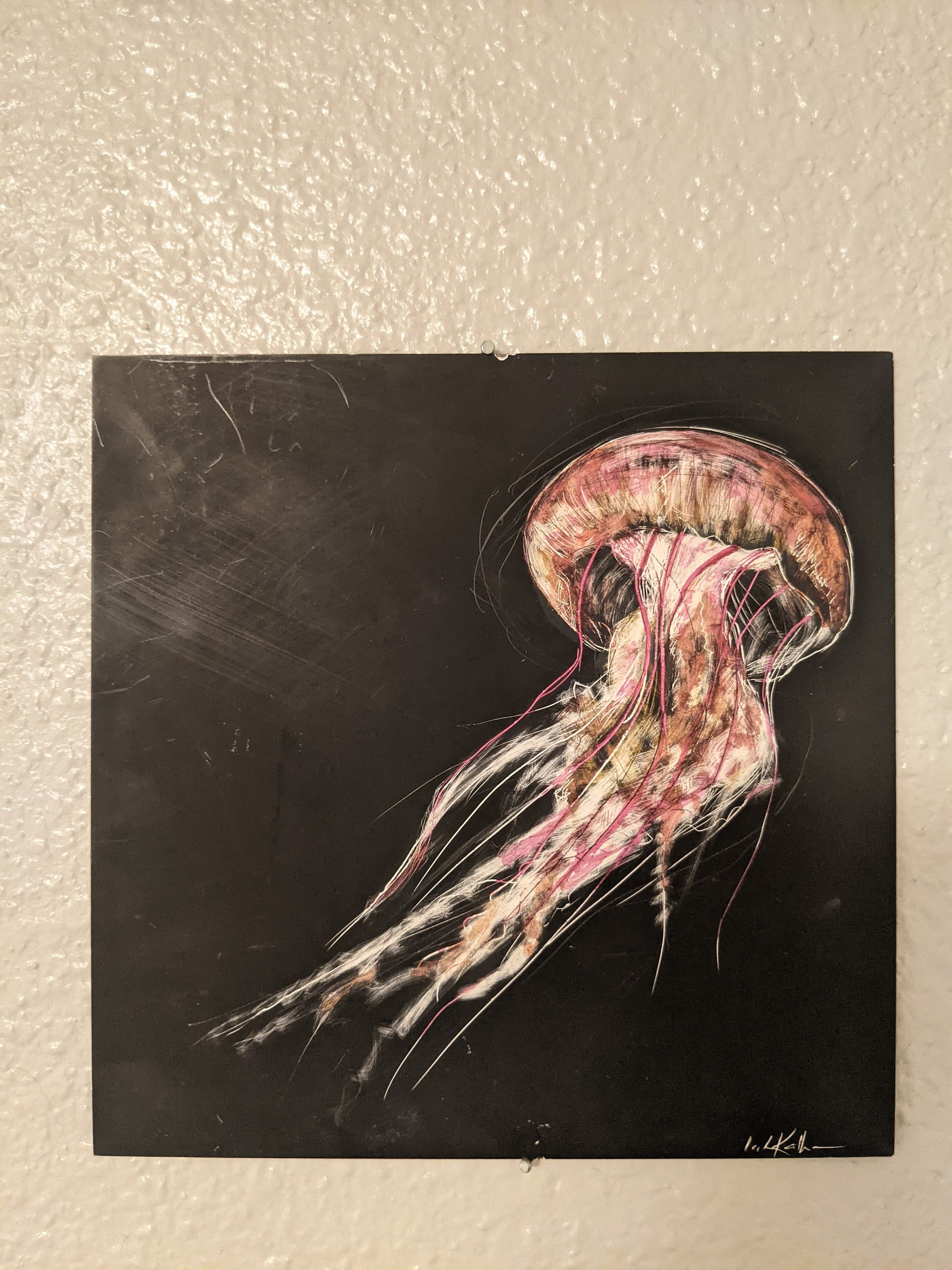 JELLYFISH ON SCRATCHBOARD Etsy