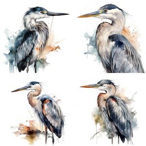 Heron Clipart - Watercolor clipart High Quality PNGs - Set of 4 Digital Download Card Making, Clip Art, Digital Paper Craft- mug designs