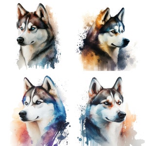 set of 4 Watercolor Husky,  Husky Dog Clipart,  Husky Dog PNG, Watercolor Dog Digital Download Husky design animal illustration set 1