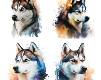 set of 4 Watercolor Husky,  Husky Dog Clipart,  Husky Dog PNG, Watercolor Dog Digital Download Husky design animal illustration set 1