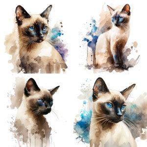 Op de afbeelding: Vier aquarellen van Siamese katten met blauwe ogen. Elke kat is afgebeeld in een andere pose tegen een witte achtergrond met aquarelspatten.
