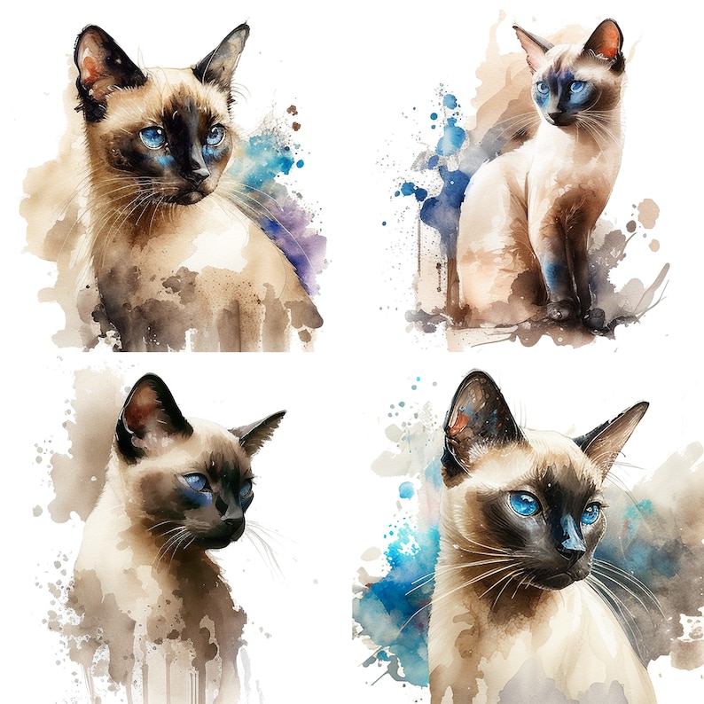 Op de afbeelding: Vier aquarellen van Siamese katten met blauwe ogen. Elke kat is afgebeeld in een andere pose tegen een witte achtergrond met aquarelspatten.