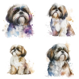 Watercolor Shih Tzu Portrait Clipart PNG Digital Download Set for 4 files for Shih Tzu Stickers Mugs T-Shirts Canine Art Printable Image V1