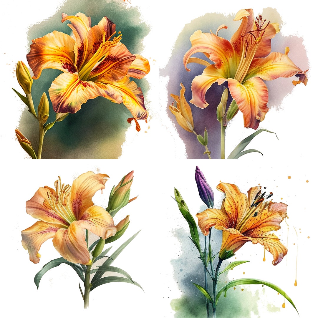Set of 4 Printable Daylily Flower Botanical Watercolor Art, Spring and ...