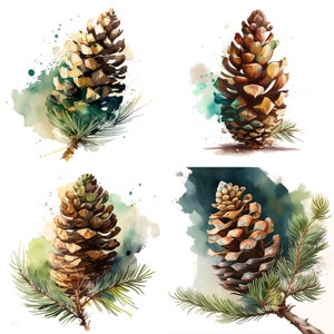 Watercolor Pine Cone Clipart Set of 4 | Hand Painted Pine Cones | Christmas Woodland Nature | High-Quality PNG Download set 1
