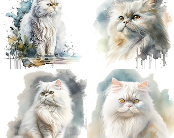 Aquarel witte Perzische kat portret clipart set van 4-kat graphics PNG bundel illustraties voor mokken en kattenliefhebbers cadeau-ideeën