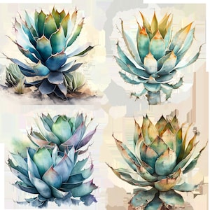 May include: Four watercolor paintings of agave plants with blue-green, yellow, and brown hues. The plants have sharp, pointed leaves and are arranged in a grid pattern.