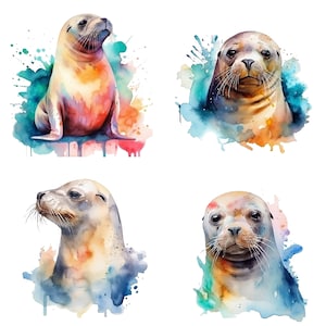 Watercolor clipart Seal Digital Downloads, Seal Clipart, Sea lion PNG, Seal wall art, Watercolor Seal, Sublimation sealife designs V2