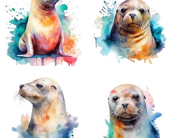 Watercolor clipart Seal Digital Downloads, Seal Clipart, Sea lion PNG, Seal wall art, Watercolor Seal, Sublimation sealife designs V2