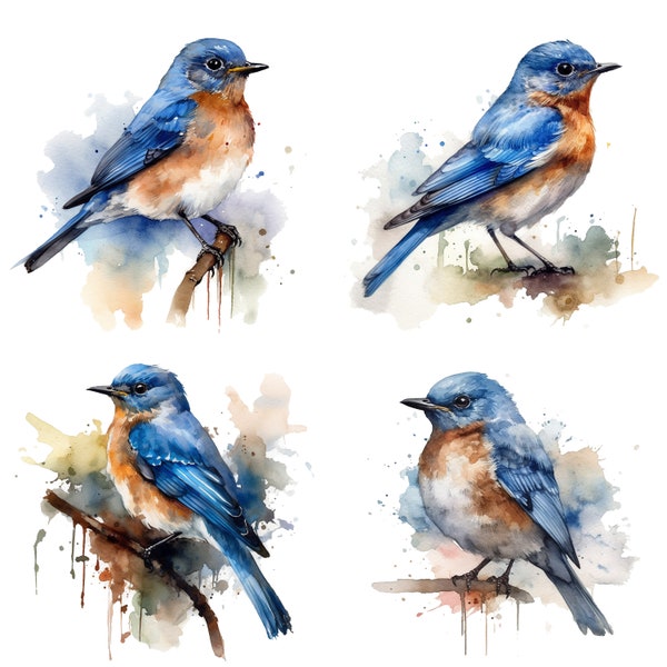 Blue bird clipart Watercolor Clipart set of 4 files for Apparel and Decor - Digital Download PNG Stickers, POD Files, Bird Lover gift ideas