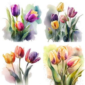 Spring Tulip Flower Bouquet watercolor Botanical clipart print Set of 4 PNG Digital Download Floral Illustration Wedding Craft Collages