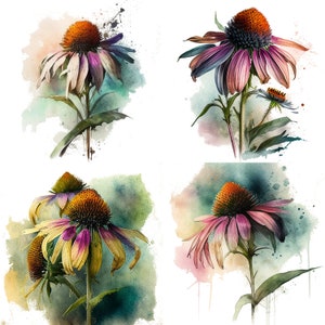 Set of 4 Watercolor Floral Cone flower Clipart - Wild Flowers png digital download - spring flower botanical Elegant Blooms