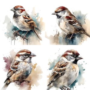 Sparrow Clipart - Watercolor clipart High Quality PNGs - Set of 4 water bird Digital Download Card Making, Clip Art, Digital Paper Craft