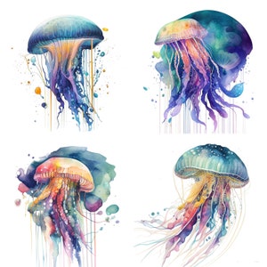 Watercolor Jellyfish Clipart Set of 4 - Sea Life Art for Scuba Diver Gifts and Ocean Life Wall Decor set 1